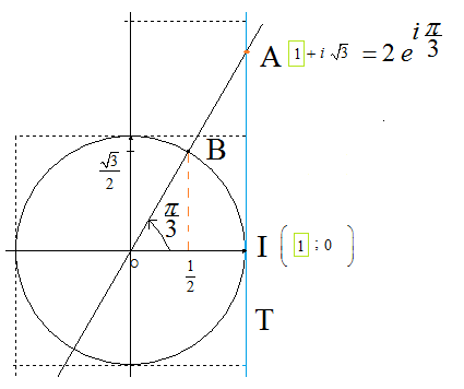 J19